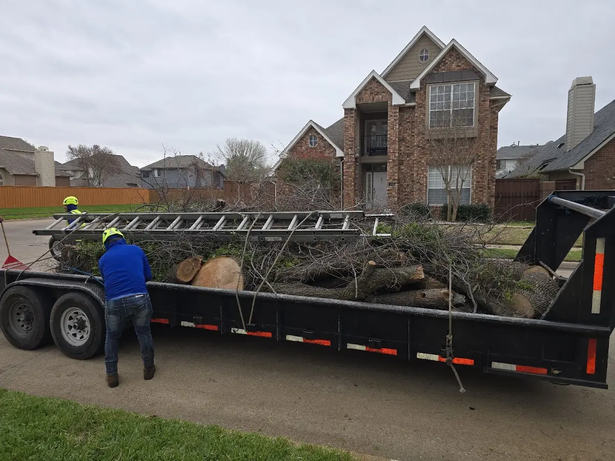 Expert Tree Pest Control with proper safety equipment in Covington